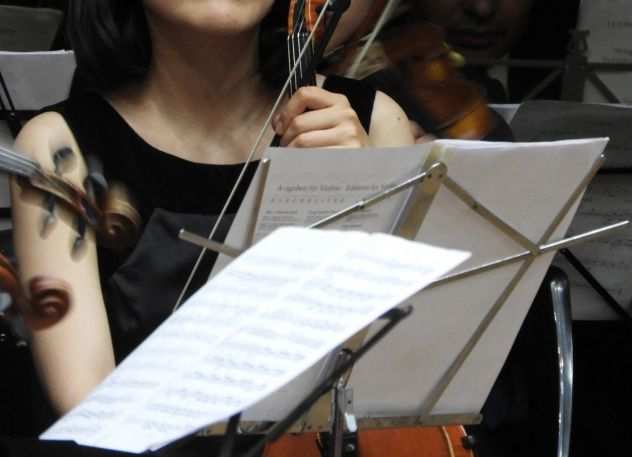 Violinista professionista nel settore wedding a Lumezzane