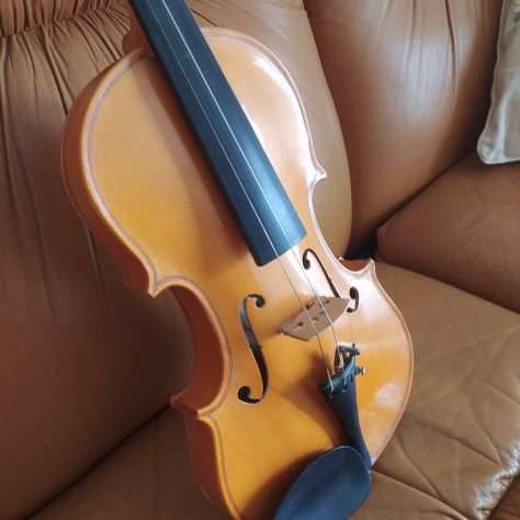 Violino 34