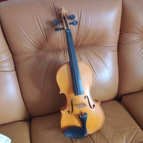 Violino 34