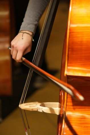 Violoncellista per eventi a Varese