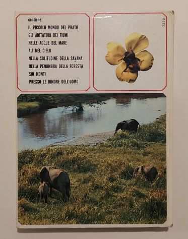 Vita segreta degli animali illustrata di Walt Disney Ed.Mondadori, Milano 1971