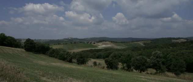 Vitivinicola azienda agricola Toscana