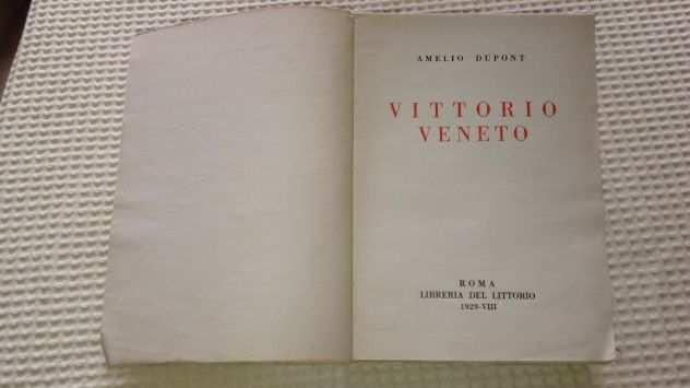 Vittorio Veneto della Vittoria libro del 1929 prima guerra mondiale