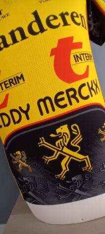 Vlaanderen - Eddy Merckx 2001 - Ciclismo - Bjorn Leukemans - Magliettae