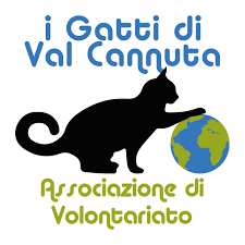 VOLONTARIO per distribuzione cibo a colonie feline (Zona Aurelio-boccea)