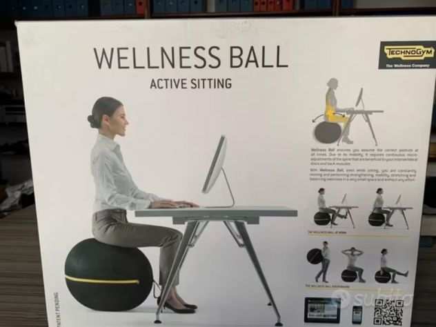 Wellness Ball Active Sitting