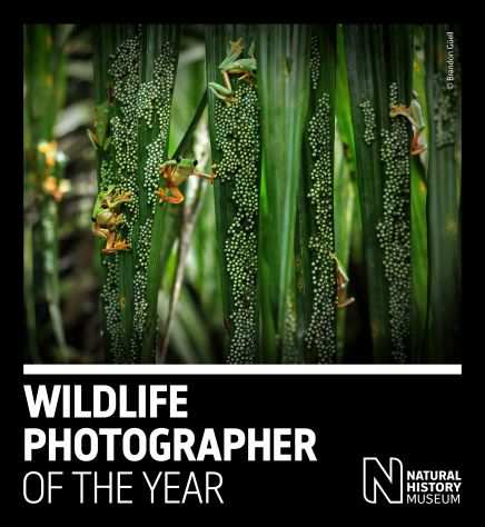 Wildlife Photographer of the Year 58 a Milano