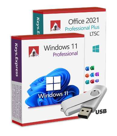 Win 11 Pro amp Office 2021 Pro Plus USB