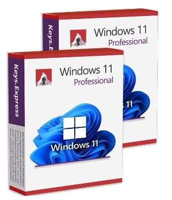 Windows 11 Pro (2 keys)