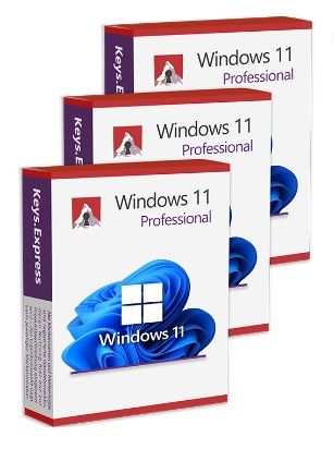 Windows 11 Pro (3 keys)