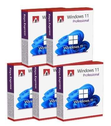 Windows 11 Pro (5 keys)