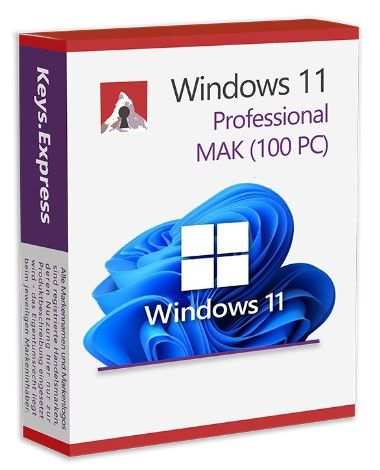 Windows 11 Pro MAK (100 PC)