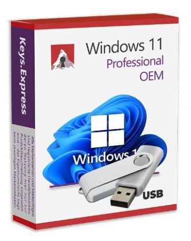 Windows 11 Pro OEM USB