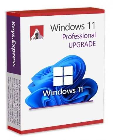 Windows 11 Pro Upgrade
