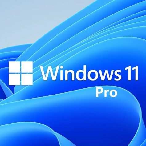 Windows 11 Professional