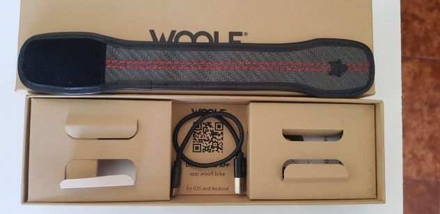 WOOLF Moto Carbon Special Limited Edition