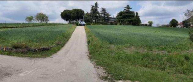 XE37523 - Terreno agricolo in via Monte Sorio