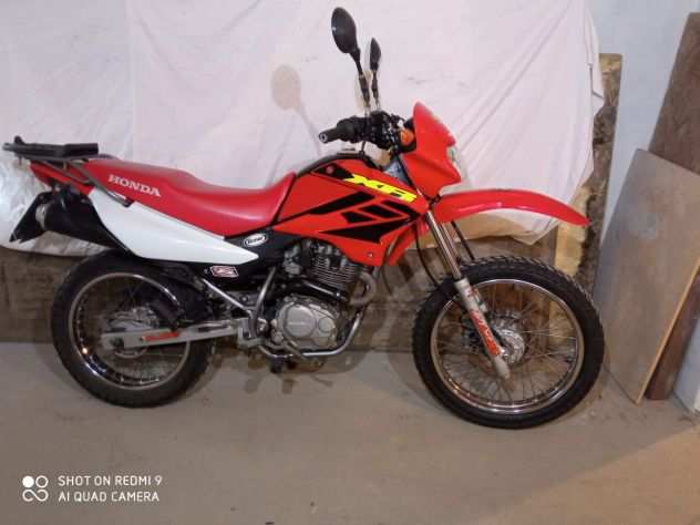 Xr 125