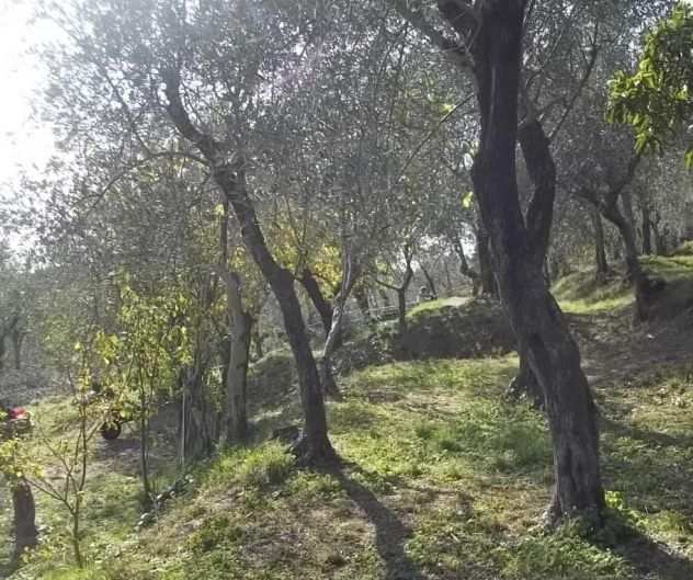 Zona Lerici (SP) A pochi minuti centro mare San Terenzo Ampio Terreno vista